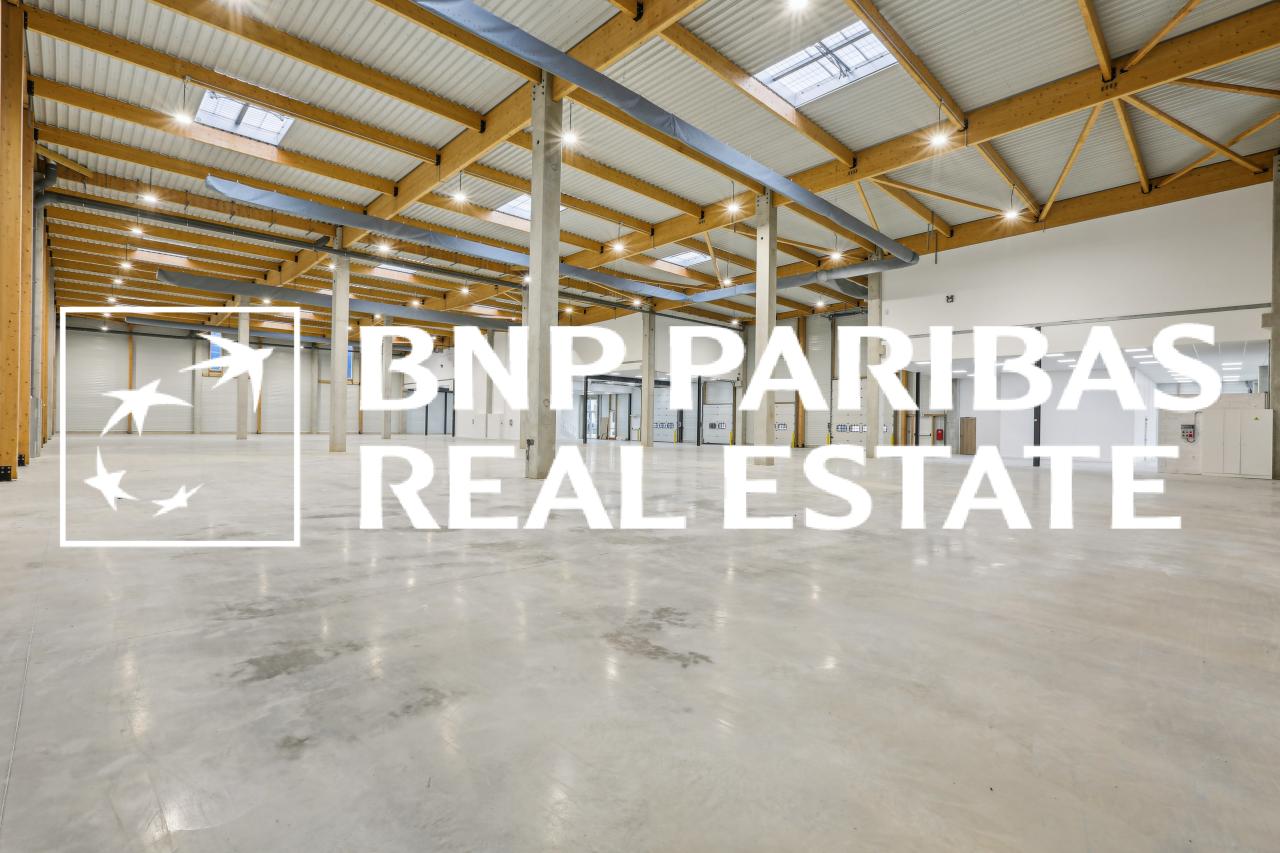 Local d'activité Moissy-Cramayel 2967m² Location local d'activité Moissy-Cramayel Seine-et-Marne OLACT2201099 6
